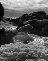 № А98. «Ледяной гриб» Арктики. Фотография. 1970-е гг. Фотосъемка В.Г. Кондратьева. Из личного собрания В.Г. Кондратьева.