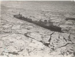 № А112. Проводимое судно в Арктике. Фотография. 1969 г. Из личного собрания Г.И. Сабинова.